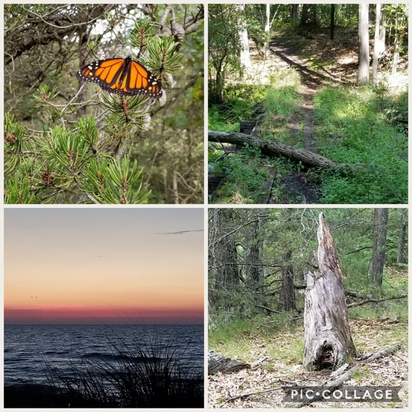 My stylish closet ๐ - Picture 3 of 5